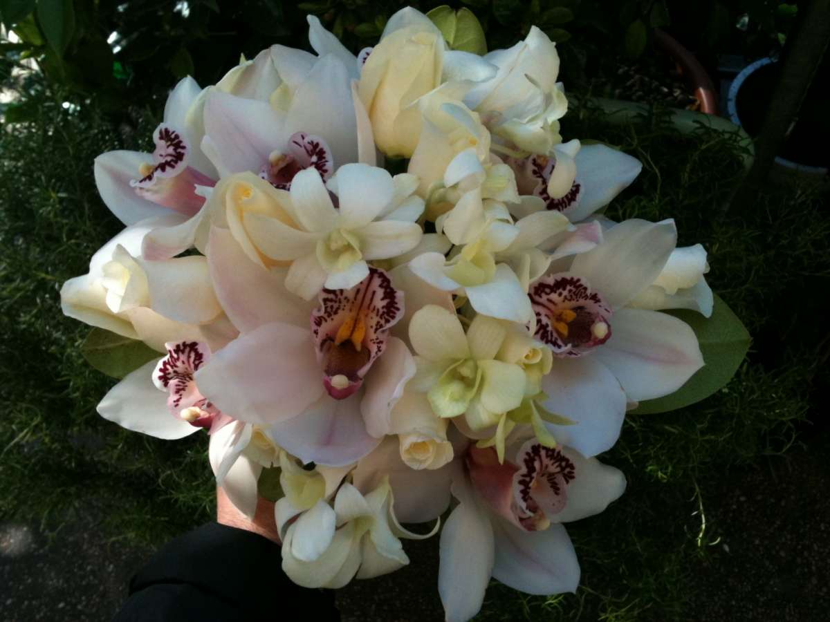 Mazzo di orchidee per la nascita