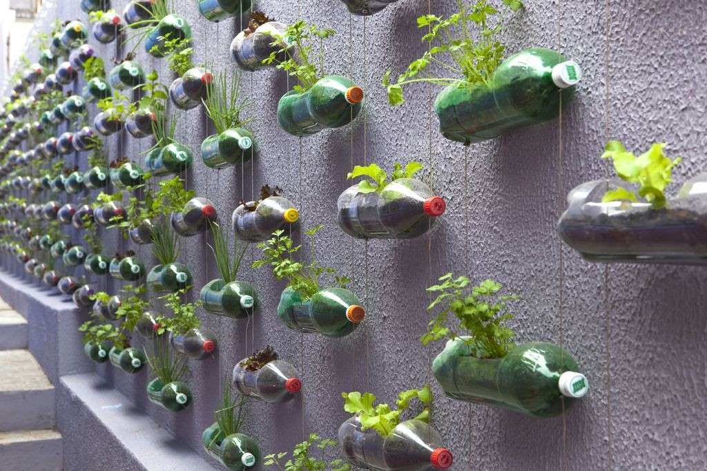 Un giardino verticale con il riciclo creativo