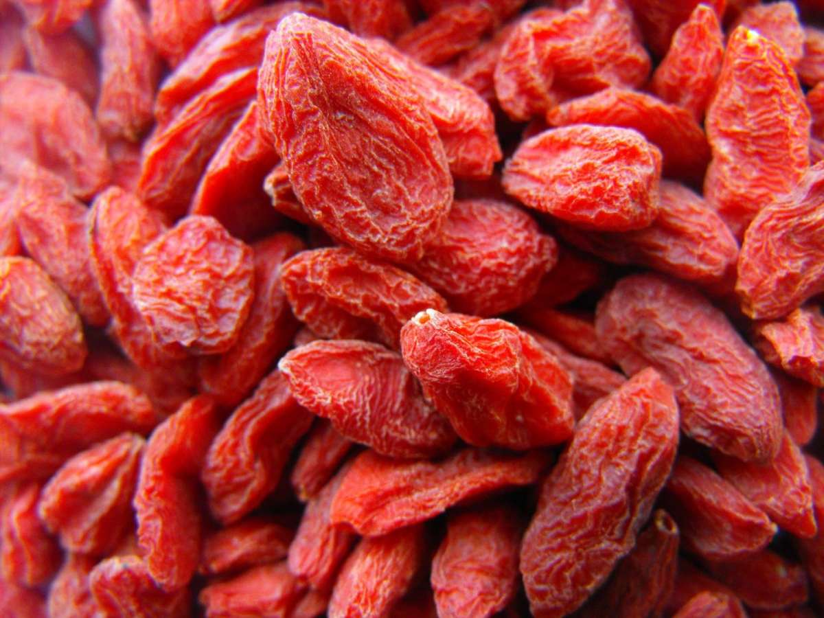 Bacche di Goji