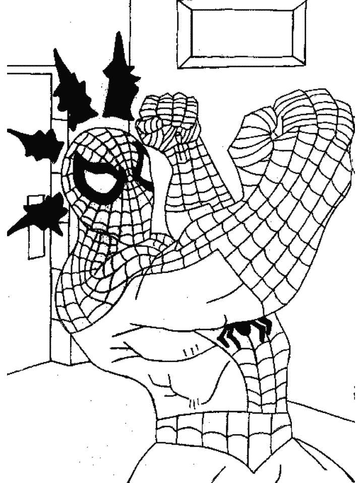 Fortissimo Spiderman
