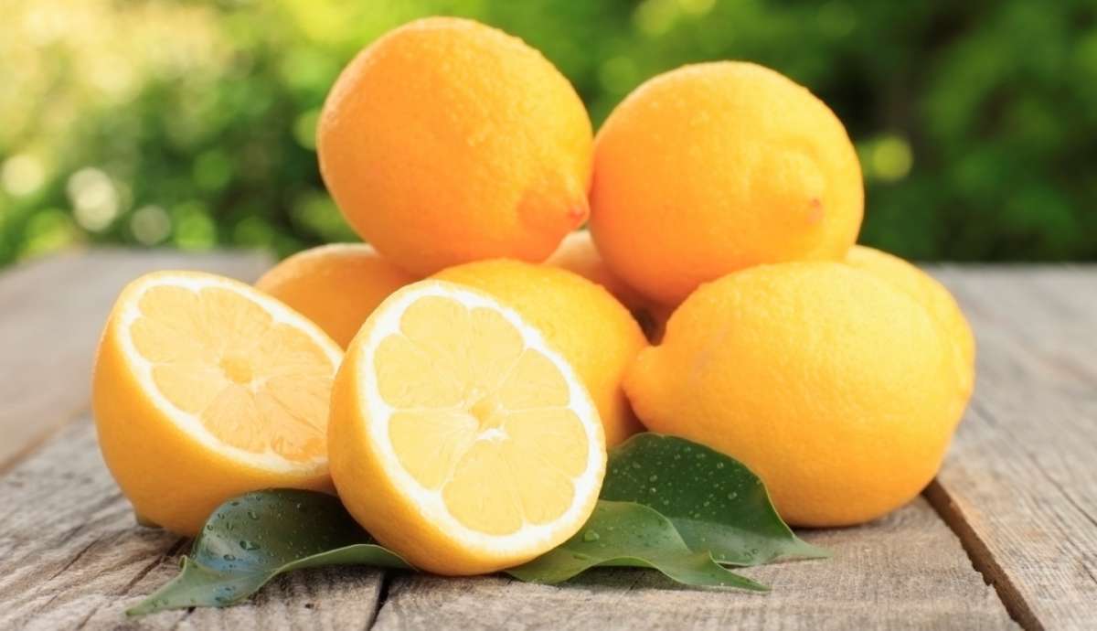 Ingrediente di base per il limoncello