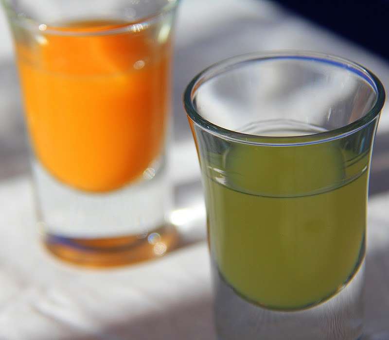 Limoncello e meloncello fatti in casa