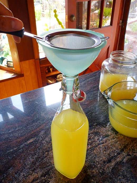 Ricetta del limoncello