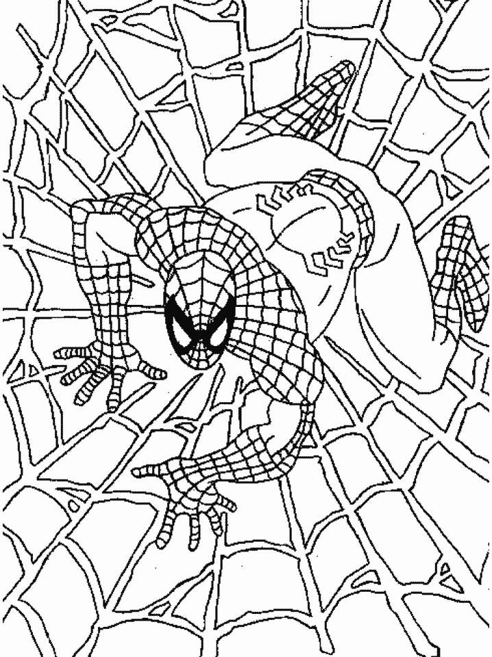 Spiderman sulla ragnatela
