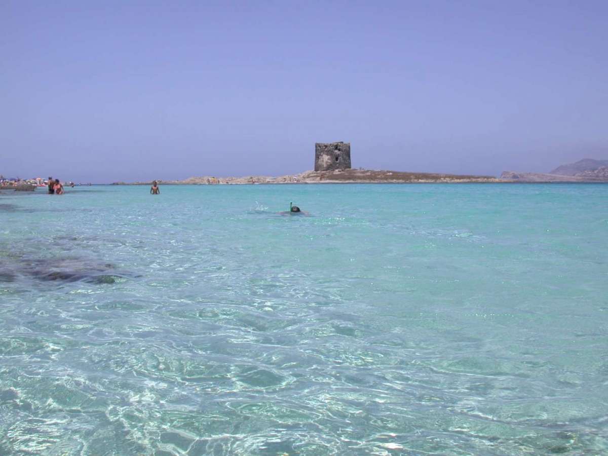 La Pelosa, Sardegna