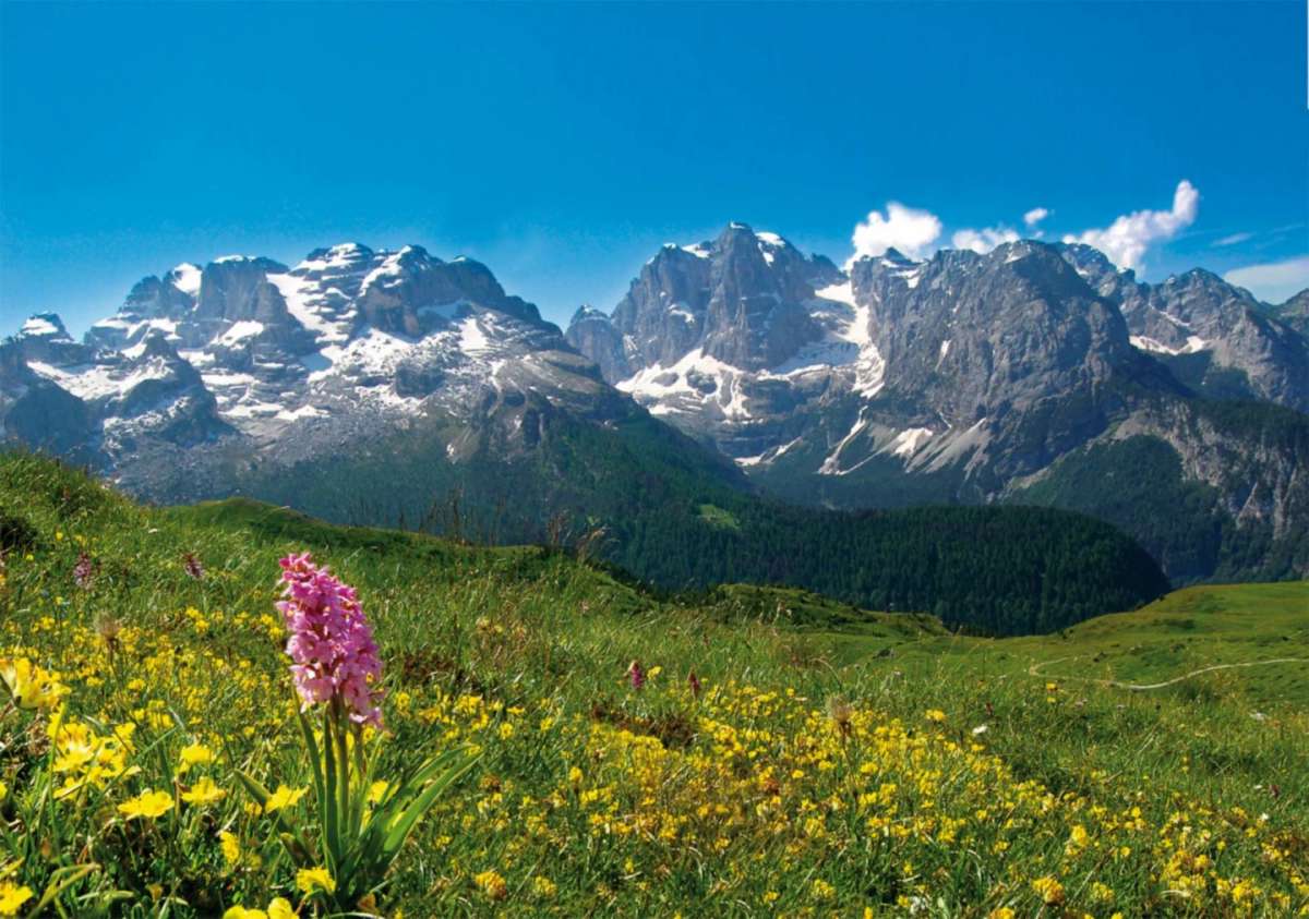 Montagne del Trentino