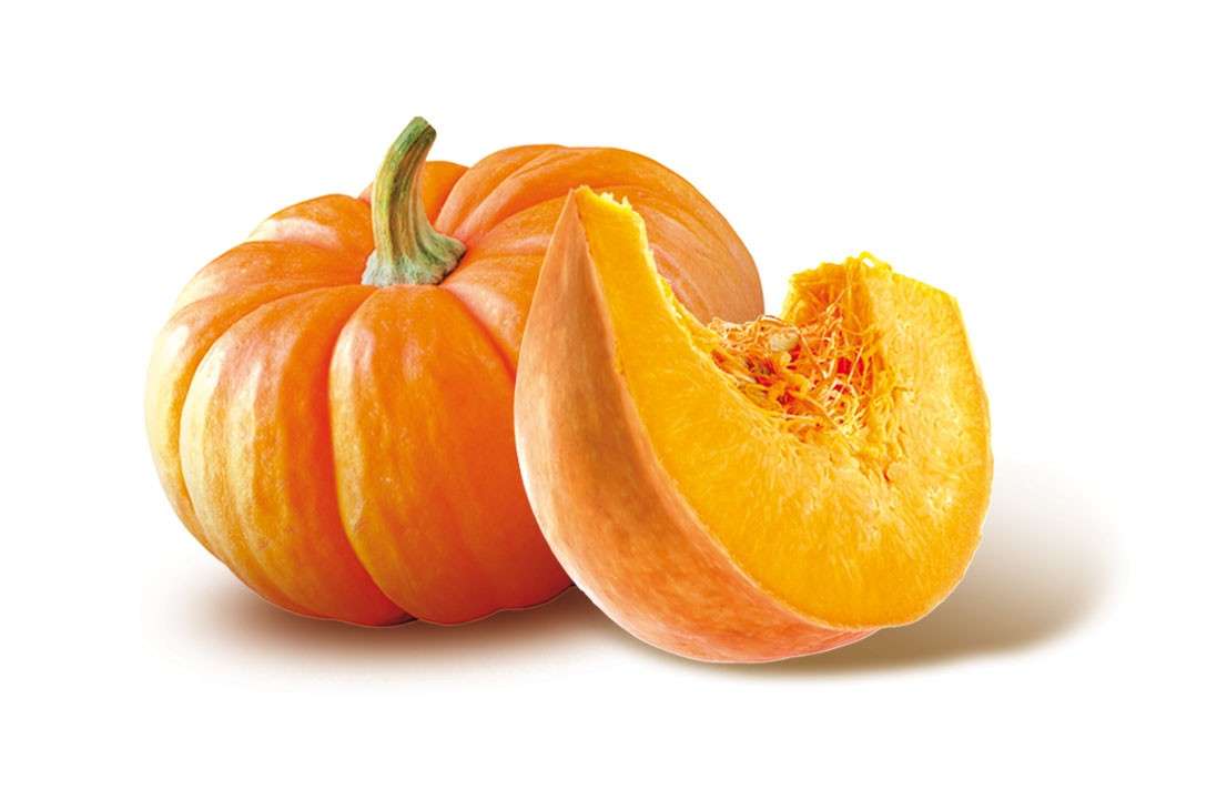 Zucca