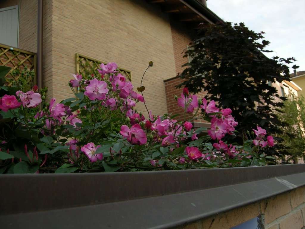 Balcone con i fiori