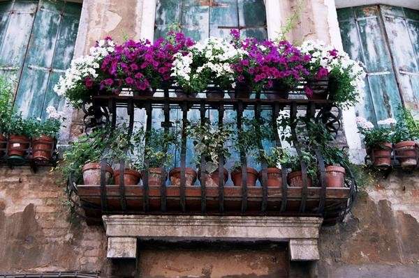 Balcone in fiore