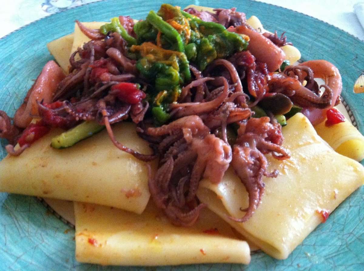 Paccheri e moscardini