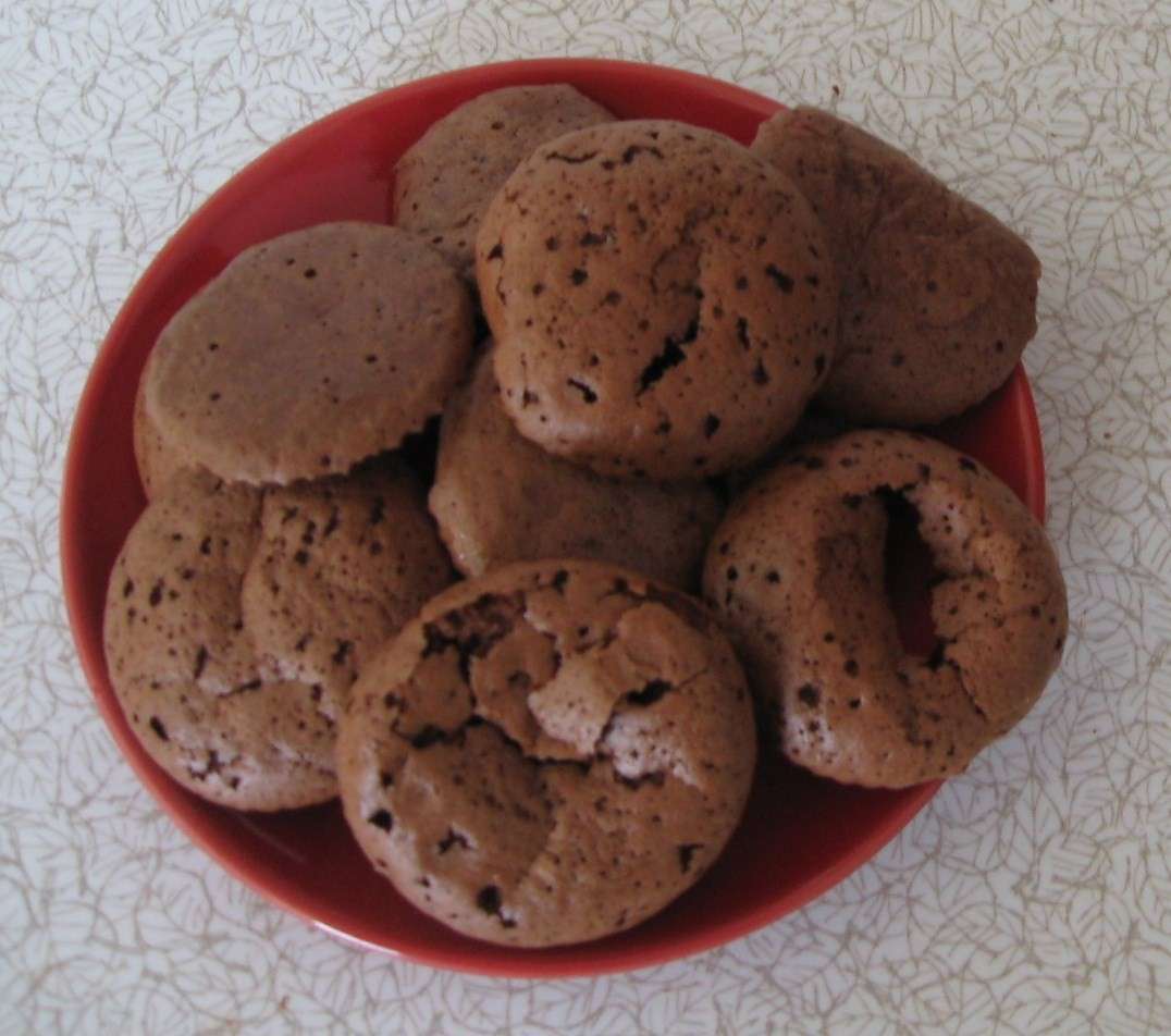 Biscotti al cioccolato