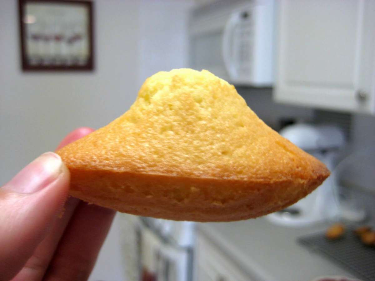 Madeleines lievitata