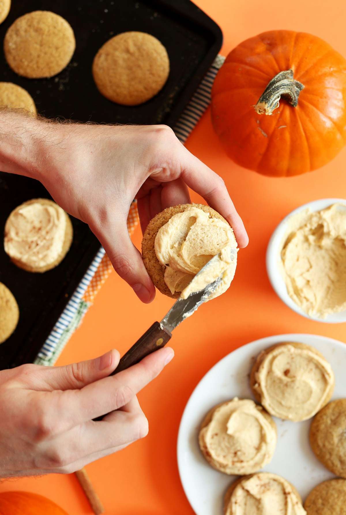 Biscotti alla zucca senza zucchero