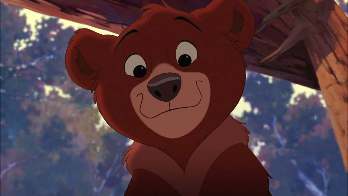 Koda fratello orso