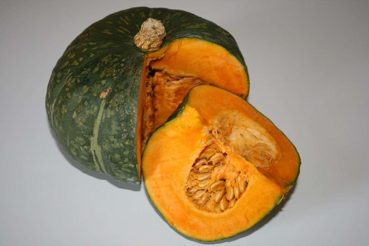 La zucca