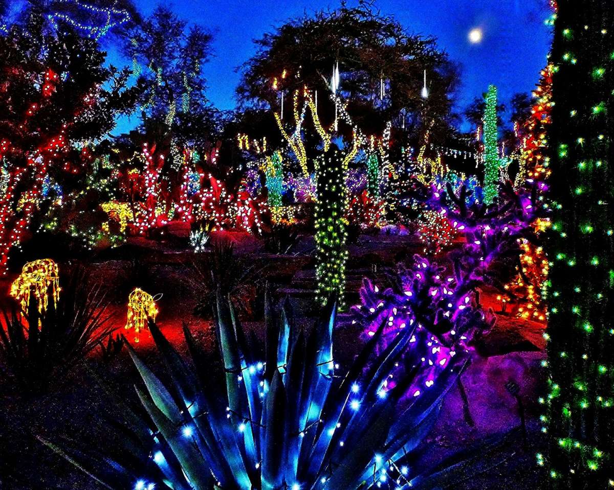 Luminarie per il giardino a Natale