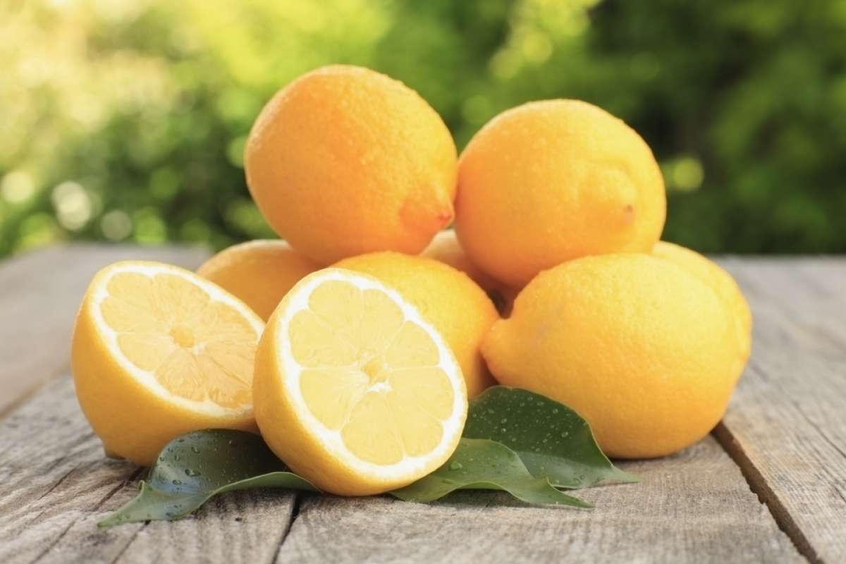 Limoni