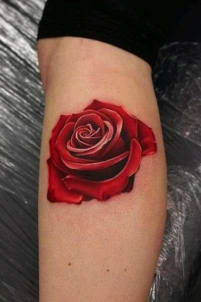 Rosa 3D tatuaggio sulla gamba