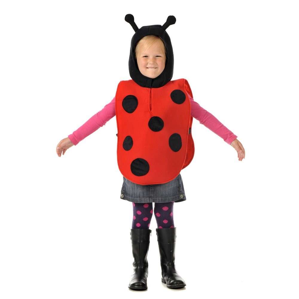 Costume da coccinella