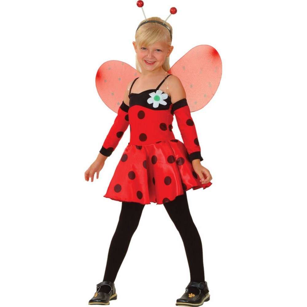 Costume da coccinella