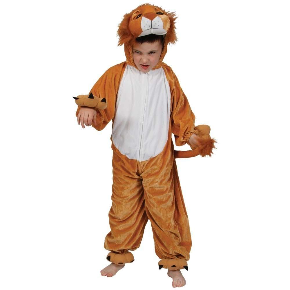 Costume da leone