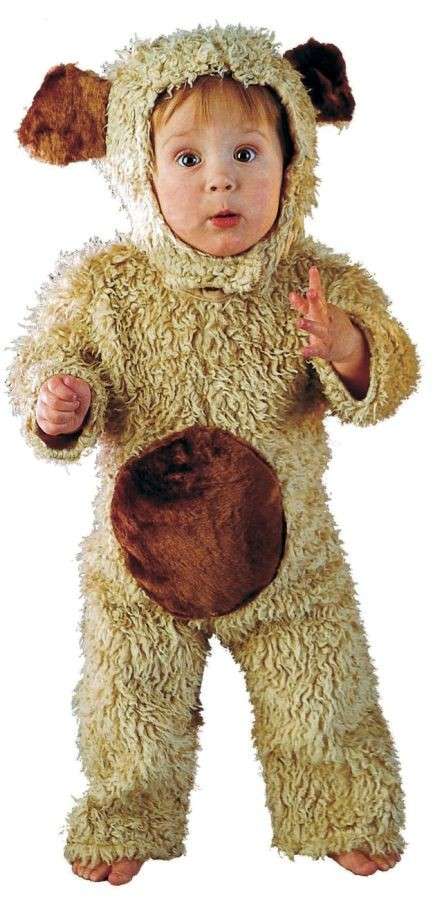 Cucciolo di cane
