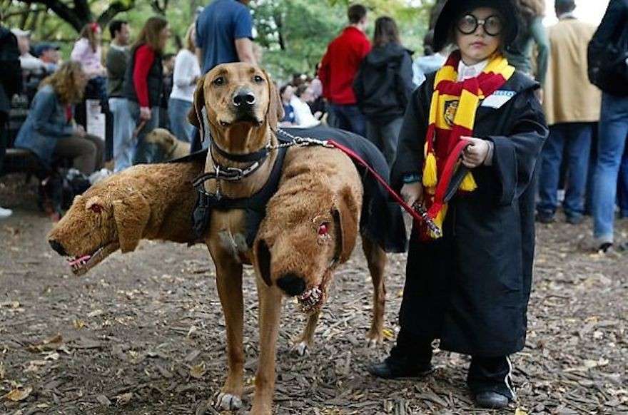 Costume da Harry Potter