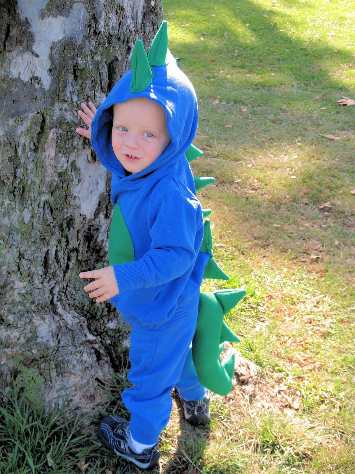 Costume di Carnevale fai da te