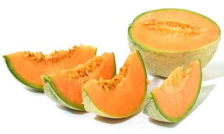 Melone cantalupo