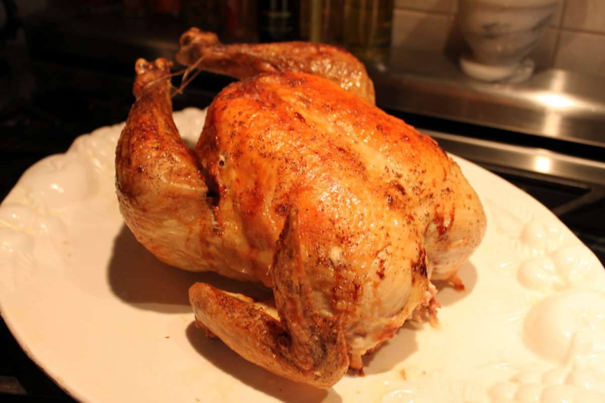 Pollo