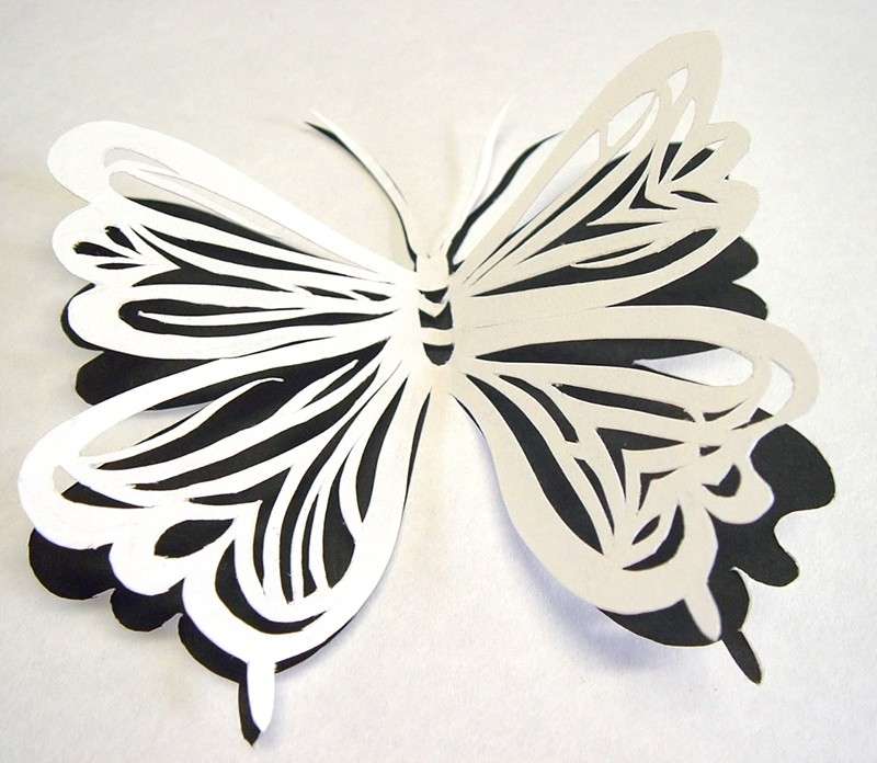 Farfalla bianca e nera