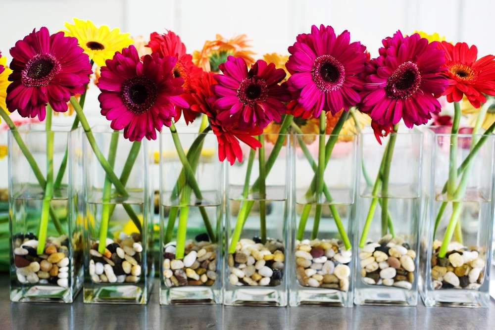 Fiori semplici in vaso