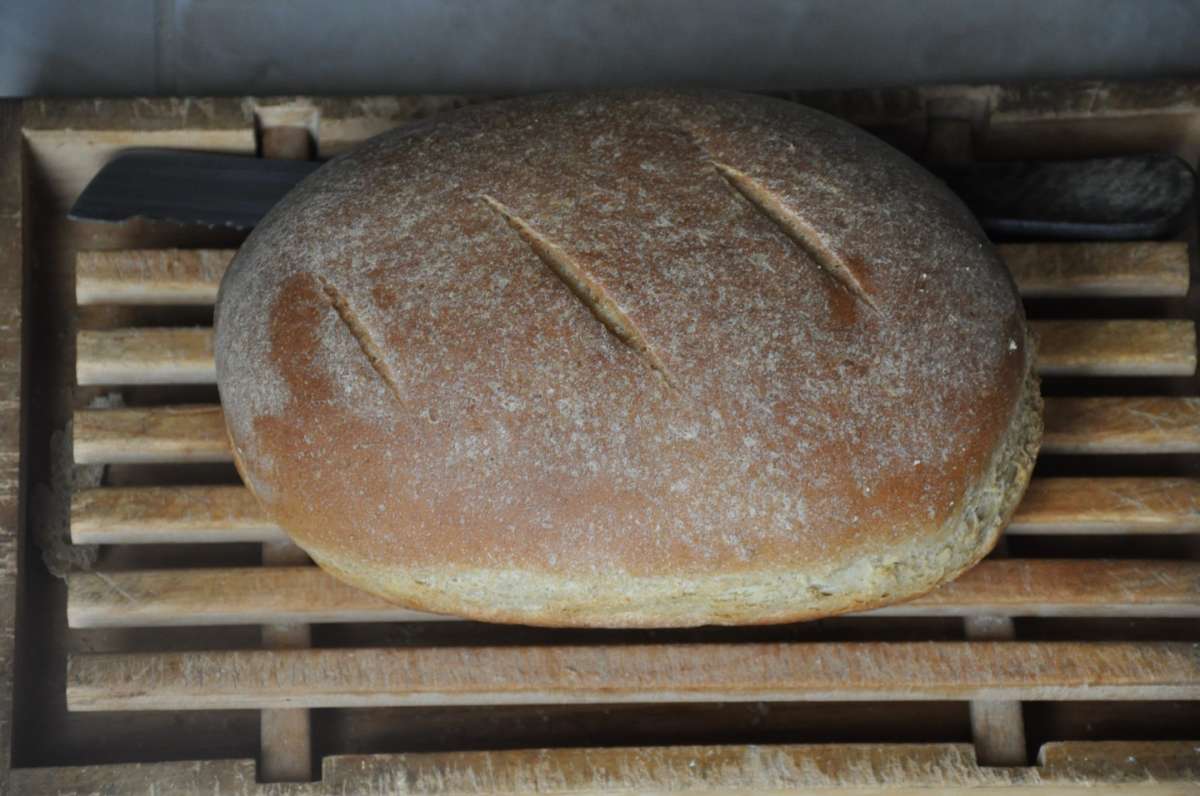 Pane alla ricotta semplice