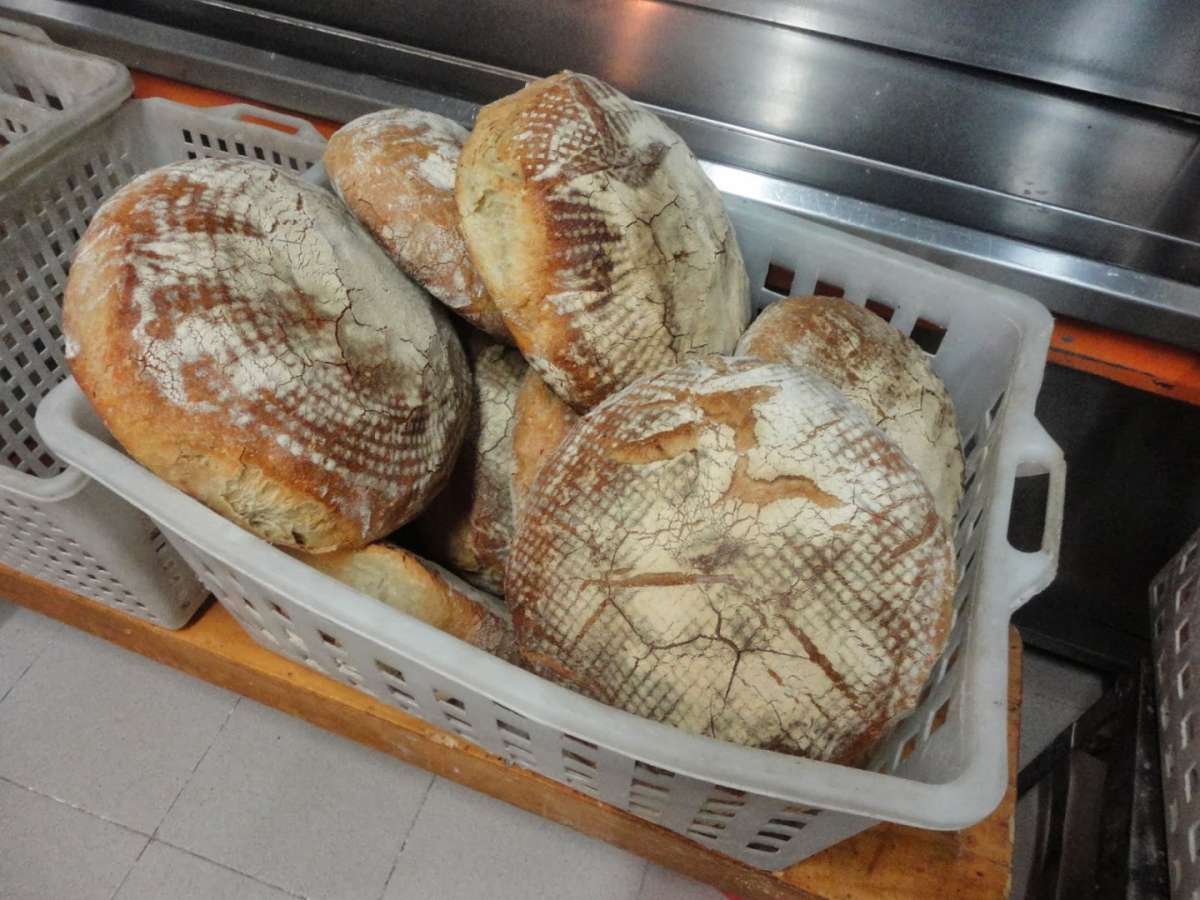 Pane di ricotta ricetta