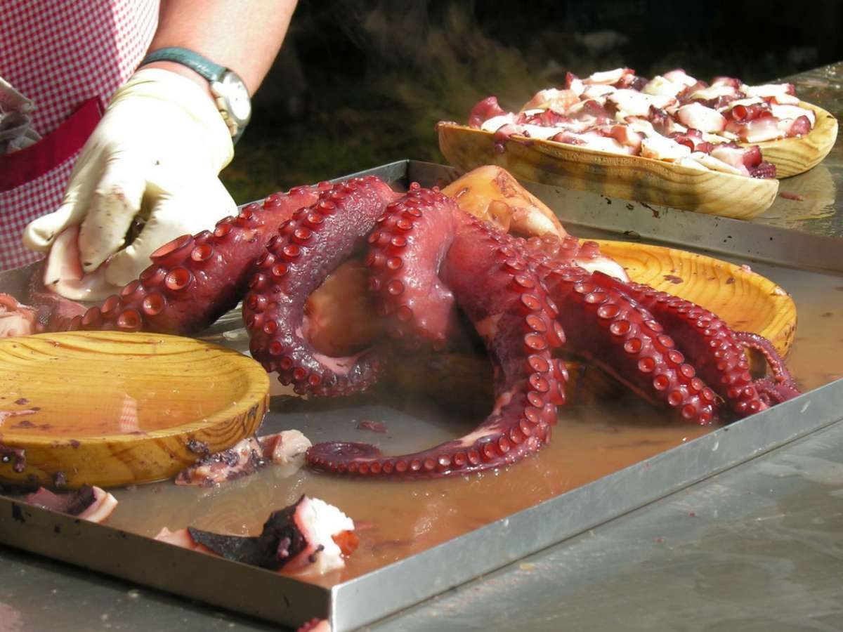 Preparazione polpo alla gallega