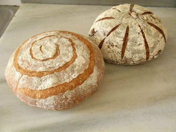 Ricetta pane ricotta