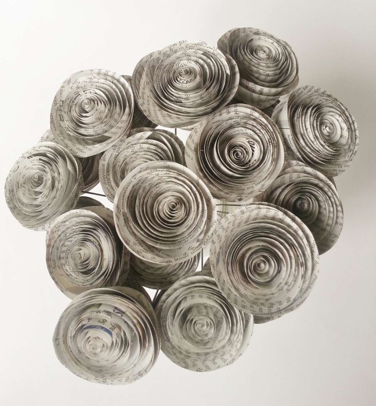 Spirali fiorite