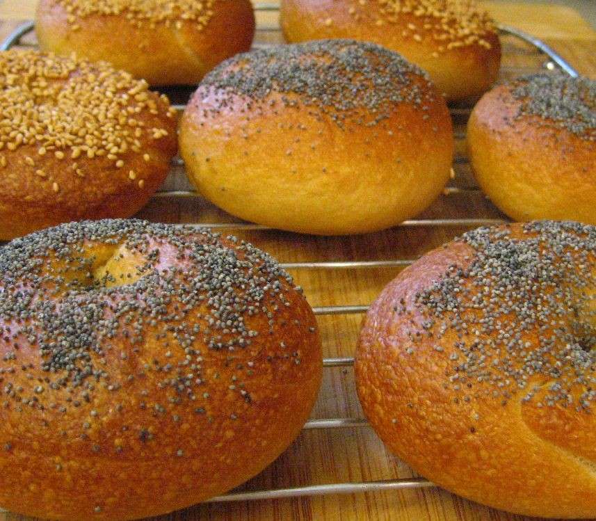 Bagel con semi di papavero