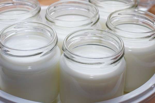 Preparazione yogurt fatto in casa