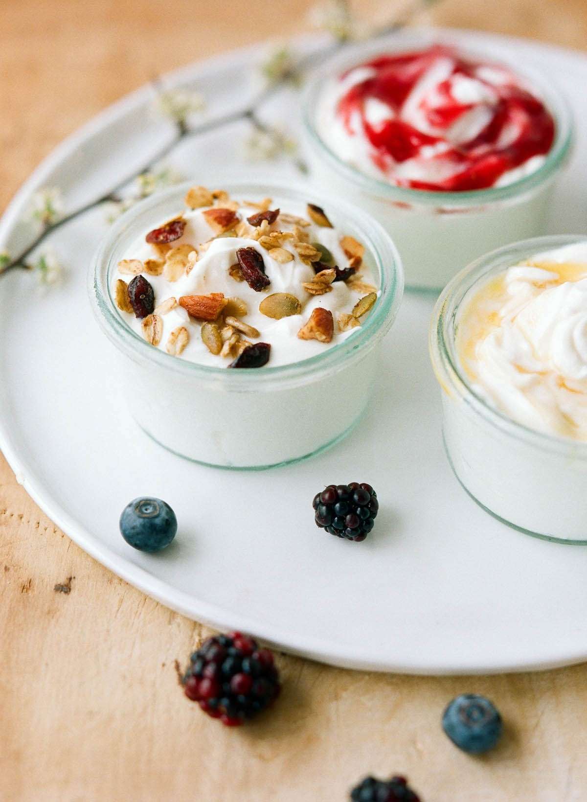 Varianti yogurt fatto in casa