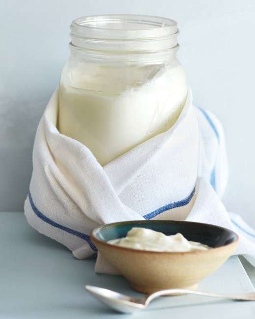 Yogurt bianco fatto in casa