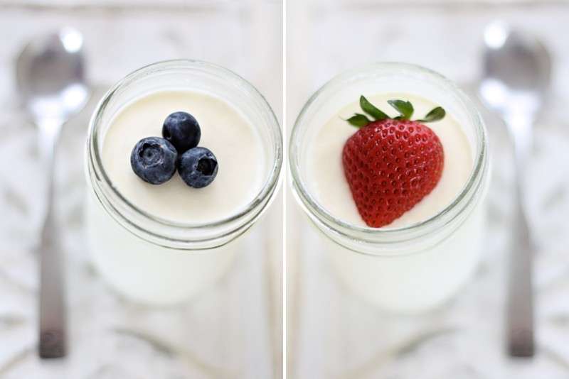 Yogurt fatto in casa da personalizzare