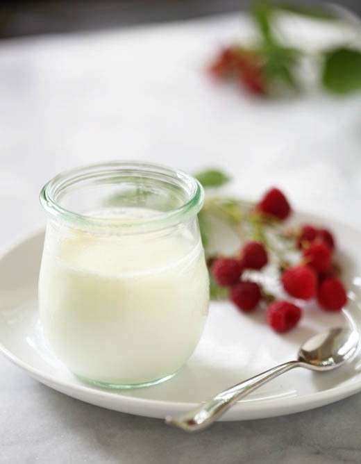 Yogurt intero fatto in casa