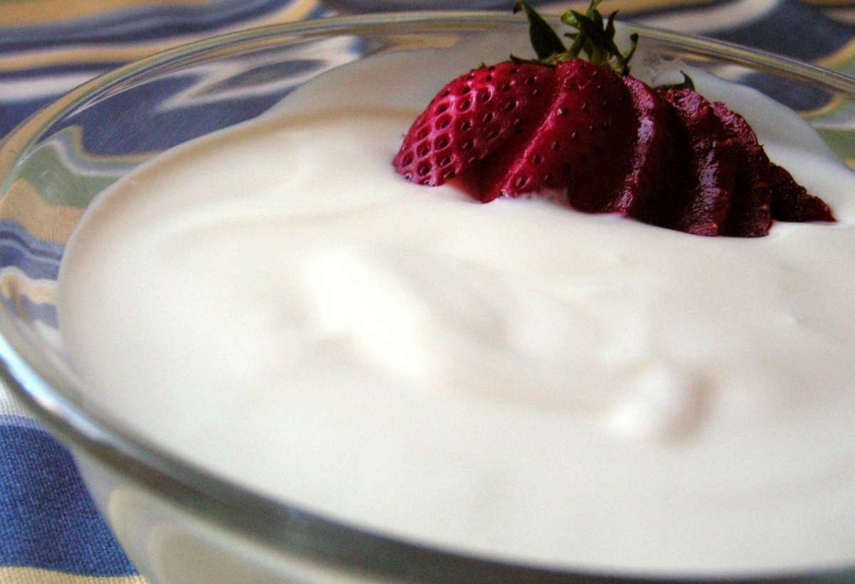 Yogurt ricetta