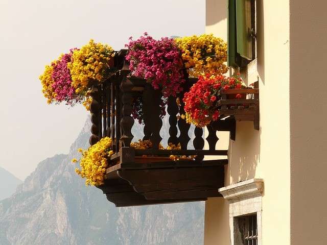 Balconi con i fiori pendenti