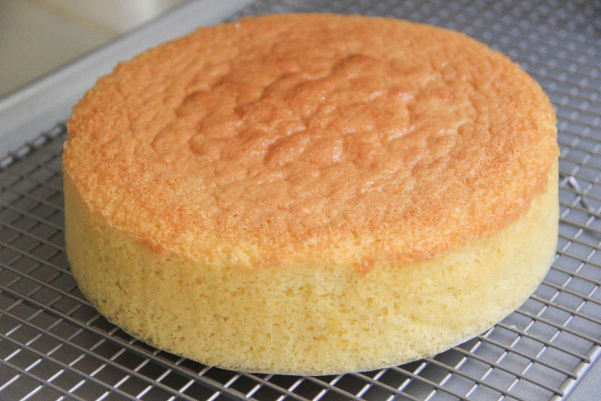 Chiffon cake da farcire