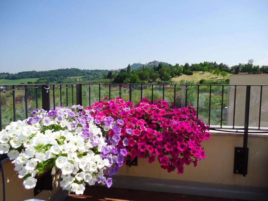 Fiori pendenti in terrazza