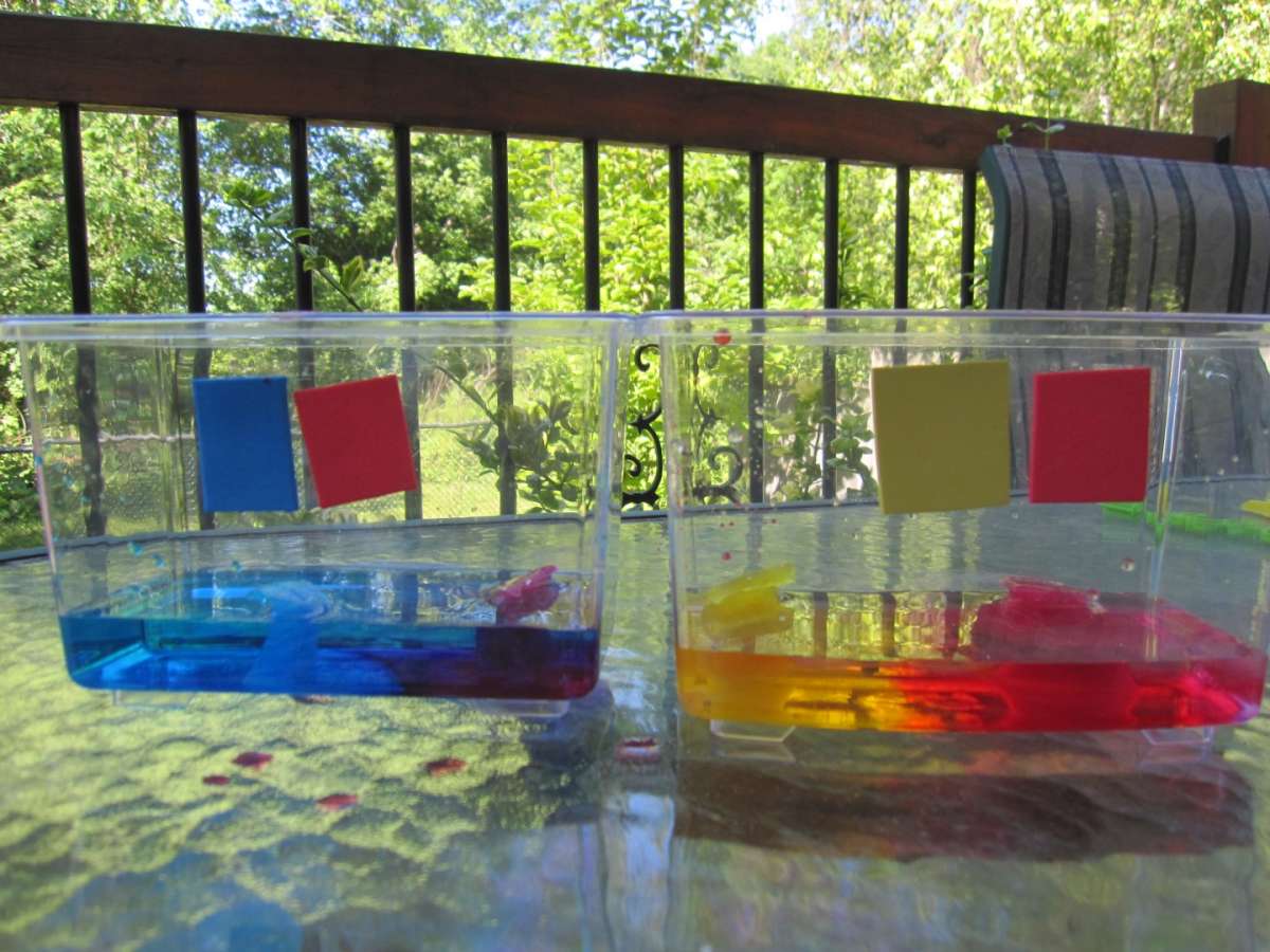 Lavoretto con acqua colorata