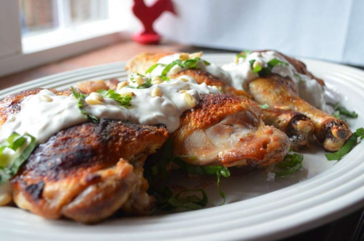 Pollo con salsa allo yogurt greco