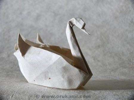 Origami cigno carta pesta